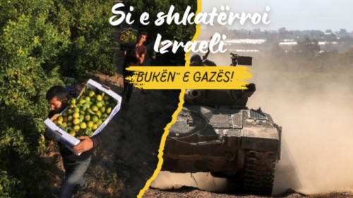 ‘Bota në fokus’: Si Izraeli shkatërroi aftësinë e Gazës për të ushqyer veten!