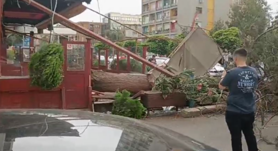 Erëra të forta në Shkup, druri bie mbi një grua!