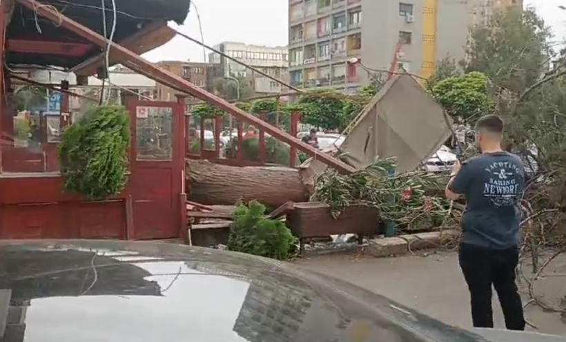Erëra të forta në Shkup, druri bie mbi një grua!