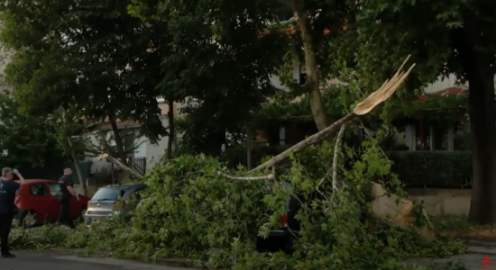 (VIDEO) Stuhia e mbrëmshme shkuli 35 pemë dhe 15 shtylla, dëmtoi 21 çati