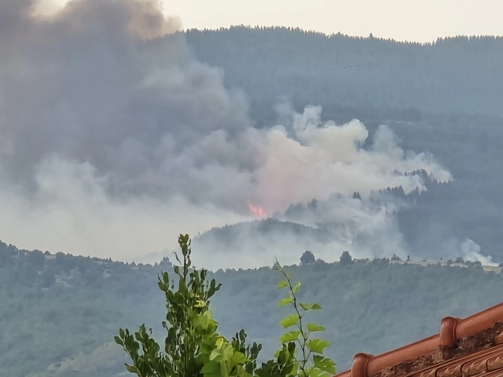 Zjarr i madh në malin Ograzhden, po i afrohet kufirit me Bullgarinë