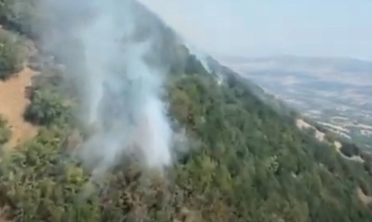 (VIDEO) Një helikopter i policisë hodhi mbi 39 tonë ujë mbi zjarrin në malin Serta