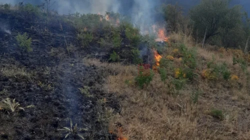 Zgjerohet zjarri në Ograzhden, po shuhet me dy helikoptera