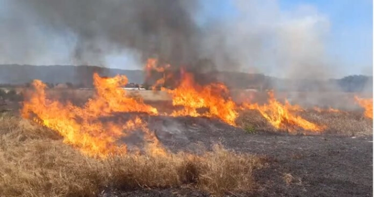 (VIDEO) Vazhdon lufta me flakët, 13 zjarre aktive, 8 nën kontroll, LSDM akuzon qeverinë dhe ministrin e brendshëm