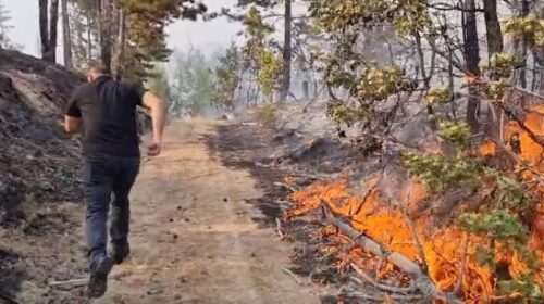 Stojançe Angelov: “Nëse shihni ndonjë piroman që shkakton zjarr lajmëroni menjëherë”!