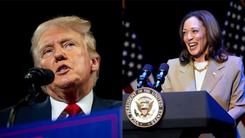 Trump pranoi përballjen në debat, Kamala Harris refuzon, vendos kusht për ish-presidentin