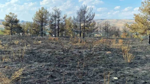 QMK: Gjithsej 41 zjarre në sipërfaqe të hapura dje, gjashtë janë aktive