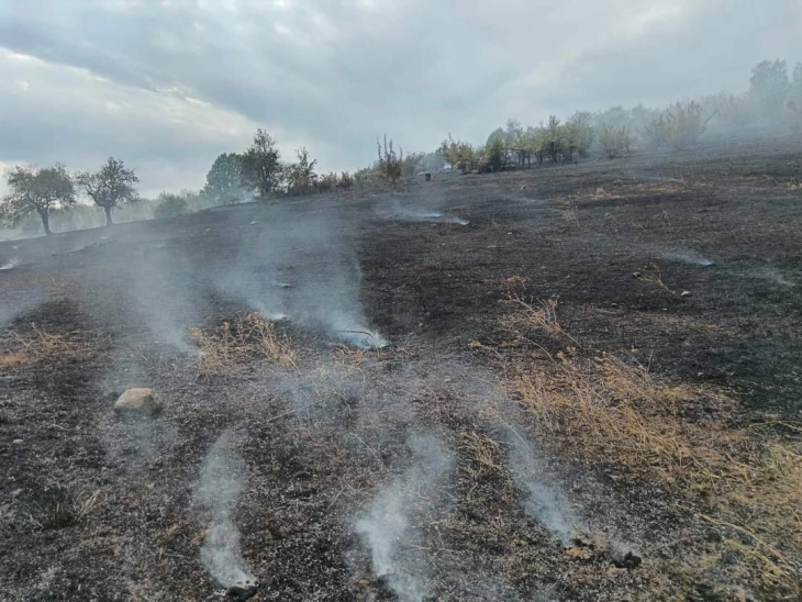 (VIDEO) QMK: Të premten kishte 37 zjarre, 6 janë aktivë, 29 janë shuar