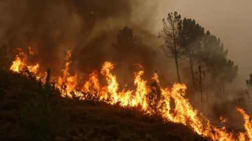 (VIDEO) Qeveria ndau më shumë se 50 milionë denarë për shuarjen e zjarreve