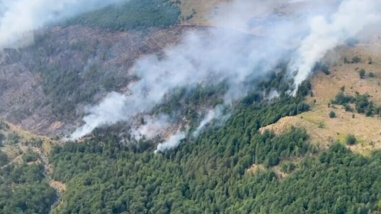 Dje 39 zjarre në ambiente të hapura, pesë janë ende aktive