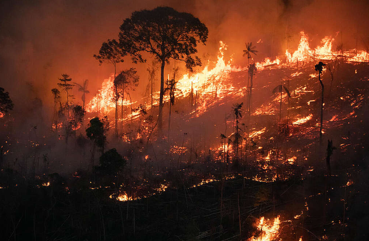 Brazil, zjarret shkatërrojnë 11 milionë hektarë pyje dhe toka bujqësore