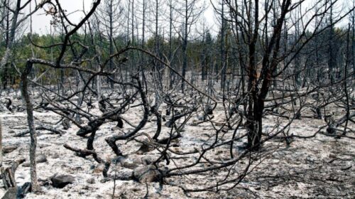 Shiu i shuajti të gjitha zjarret në ambiente të hapura