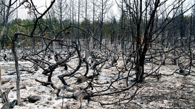 Shiu i shuajti të gjitha zjarret në ambiente të hapura