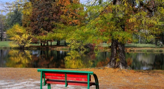 Në mëngjes ftohtë, gjatë ditës diell dhe ngrohtë me temperatura deri 28 gradë