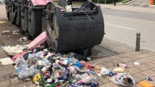 Inspektorati i mjedisit jetësor del në terren në Shkup, gjobiten 20 qytetarë për krijimin e deponive të egra