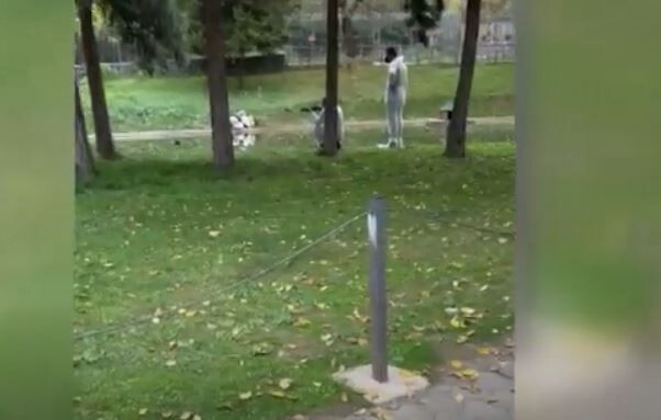 (VIDEO) “Në Kopshtin Zoologjik u krye masakër”, VMRO pretendon se u parandalua përhapja e sëmundjeve