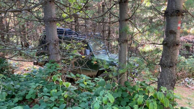 Shpëtohet një motoçiklistë i cili kishte rënë në një grykë në Malin Sharr