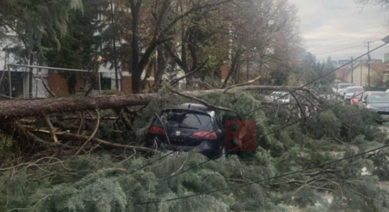 Era e fortë ka shkulur pemë, degë dhe një shtyllë në Kumanovë