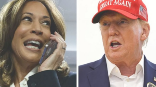 Projeksionet e Fox News: Vota në 19 shtete, 105 vota elektorale për Trump dhe 72 për Kamala Harris!