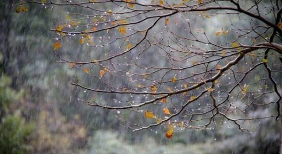 Nga java e ardhshme në Maqedoninë e Veriut do të ketë rënie të temperaturave ditore