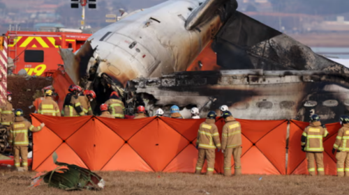 Dëshmitari thotë se avioni u përplas me tufën e zogjve