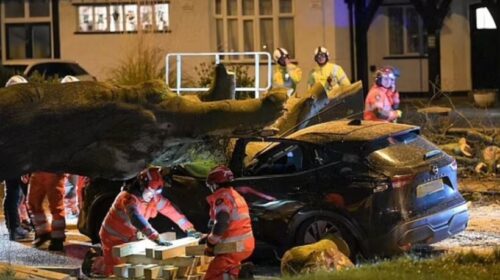 Stuhia Darragh, dy vik;tima nga rrëzimi i pemëve/ Mijëra shtëpi janë ende pa energji elektrike