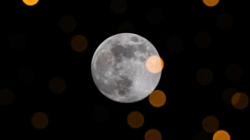 Japonia fillon kërkimet për të bërë realitet jetën në Hënë