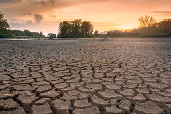 OKB: Thatësia i kushton botës mbi 300 miliardë dollarë çdo vit