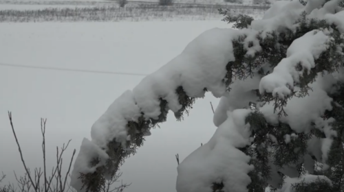 (VIDEO) Bora do të vazhdojë edhe nesër, nga e mërkura temperaturat zbresin në minus 10