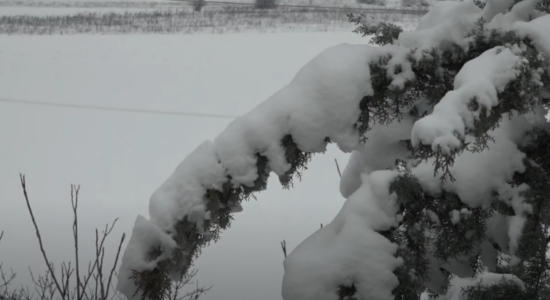 (VIDEO) Bora do të vazhdojë edhe nesër, nga e mërkura temperaturat zbresin në minus 10