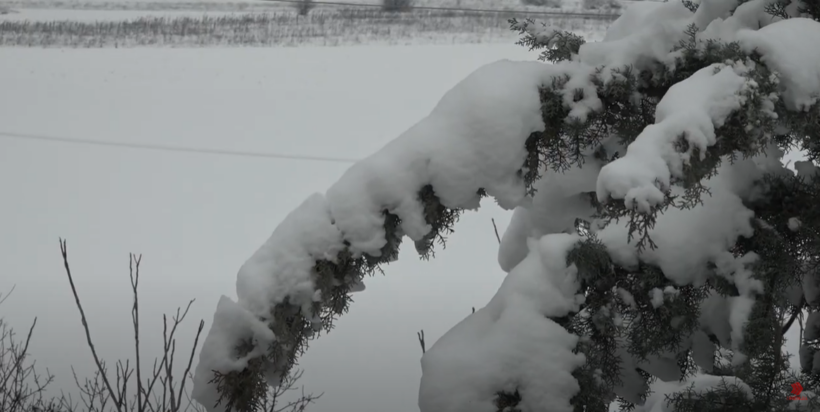 (VIDEO) Bora do të vazhdojë edhe nesër, nga e mërkura temperaturat zbresin në minus 10