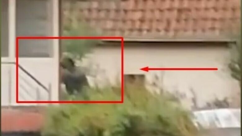 (VIDEO) Publikohet momenti i gjuajtjes me breshëri plumbash ndaj terroristëve serbë në Banjskë