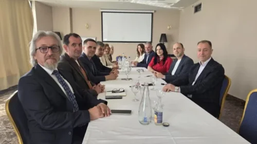 VLEN drejt bashkimit në një parti të vetme politike
