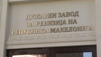 Enti Shtetërore për Revizion