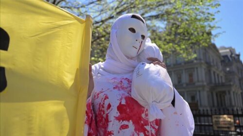 SHBA, protestë në mbështetje të Palestinës në Washington