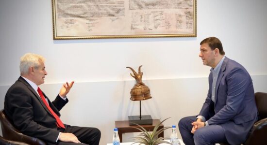 Krasniqi priti Ali Ahmetin: Bashkë për sfidat dhe të drejtat e shqiptarëve në rajon