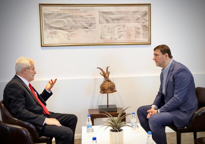 Krasniqi priti Ali Ahmetin: Bashkë për sfidat dhe të drejtat e shqiptarëve në rajon