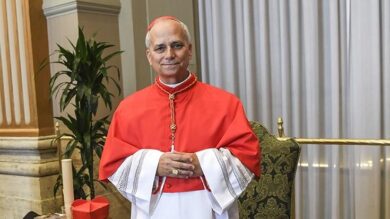 Robert Prevost, Papa Leo XIV