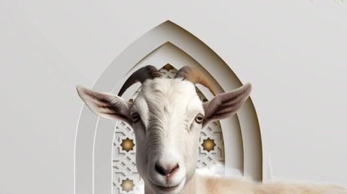 Redaksia e Televizionit SHENJA jua uron Kurban Bajramin!