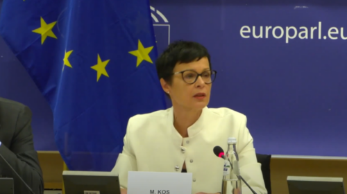 (VIDEO) Eurokomisarja: Ndryshoni kushtetutën dhe nisuni drejt BE-së