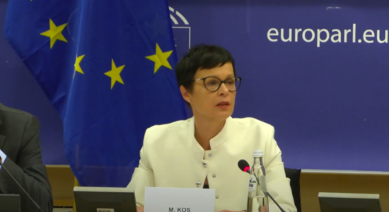 (VIDEO) Eurokomisarja: Ndryshoni kushtetutën dhe nisuni drejt BE-së