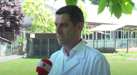 (VIDEO) Veteriner Isaku: Çdo kafshë preket nga viruset