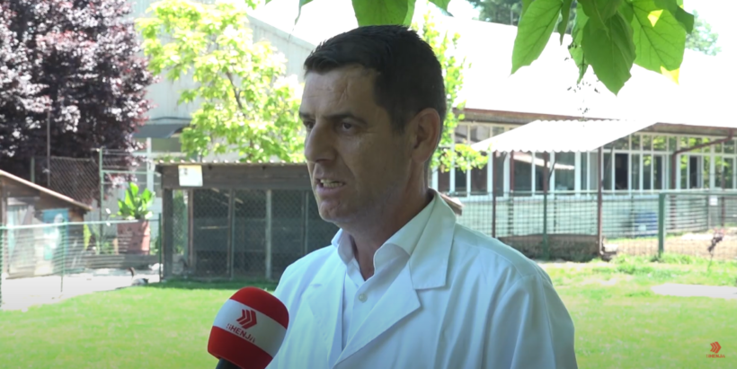 (VIDEO) Veteriner Isaku: Çdo kafshë preket nga viruset