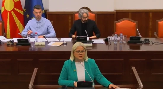 Stojanovska për kërkesën e Apasievit: Nuk ka nevojë për dualizëm