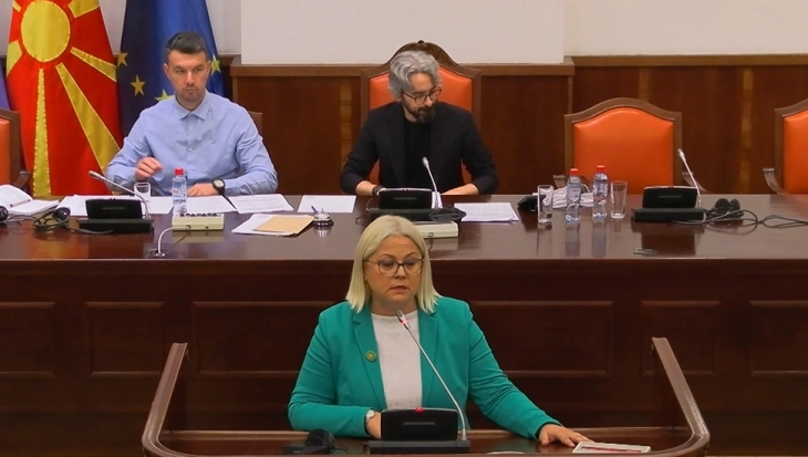 Stojanovska për kërkesën e Apasievit: Nuk ka nevojë për dualizëm