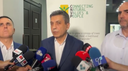 (VIDEO) Mungesa e Badenterit, Mexhiti: BDI ta votojë edhe  Inspektoratin e Gjuhëve