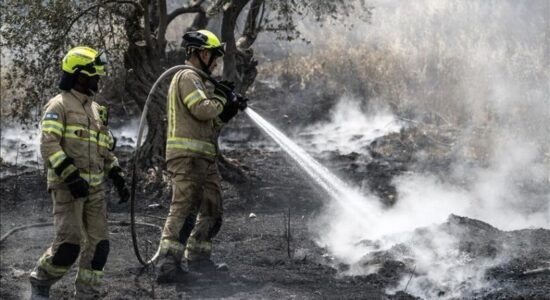 Zjarret pyjore çojnë në evakuime pranë Tel Avitit, shkatërrojnë ndërtesa mes valës së të nxehtit