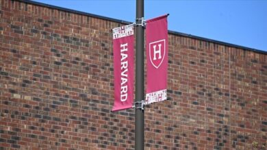 Harvard