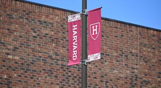 Gjykata pezullon vendimin e Trumpit për të kufizuar vizat e studentëve të huaj në Harvard