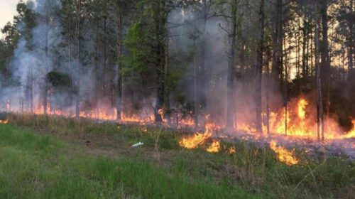 Shtatë zjarre aktive, tre nën kontroll, mbërrin ndihma nga Çekia dhe Sllovenia